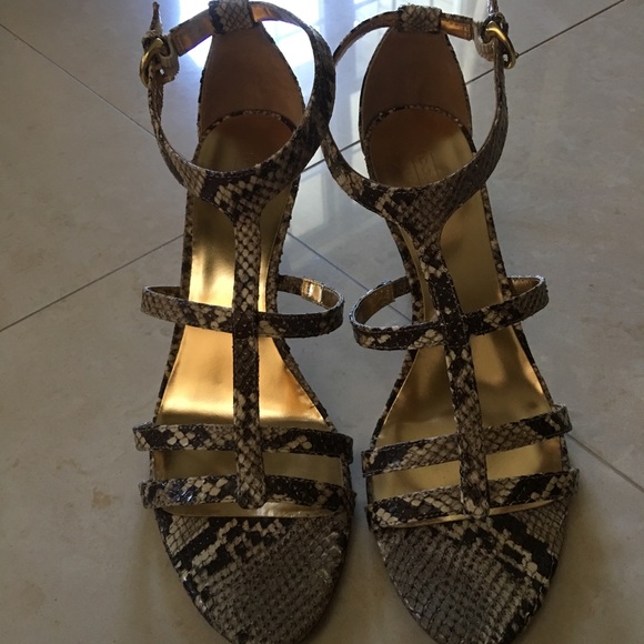 Coach. Real python detailing - Picture 1 of 3